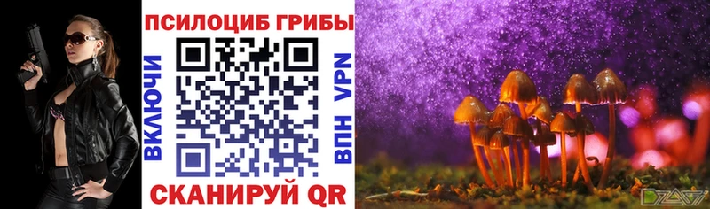 где можно купить наркотик  Кандалакша  Псилоцибиновые грибы Psilocybe 