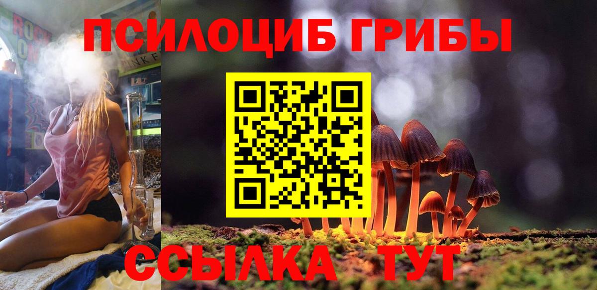 Галлюциногенные грибы прущие грибы Кандалакша