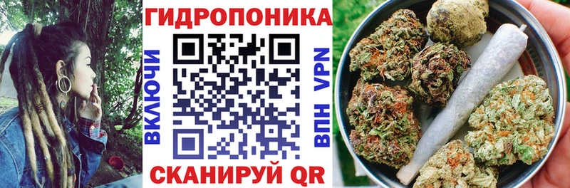Марихуана Amnesia Кандалакша